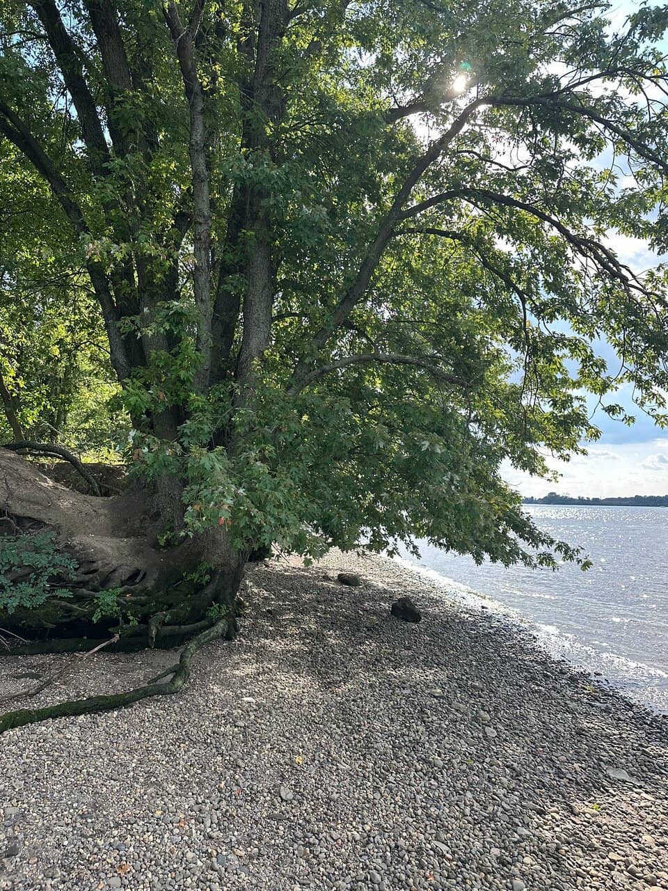 Delaware River Views