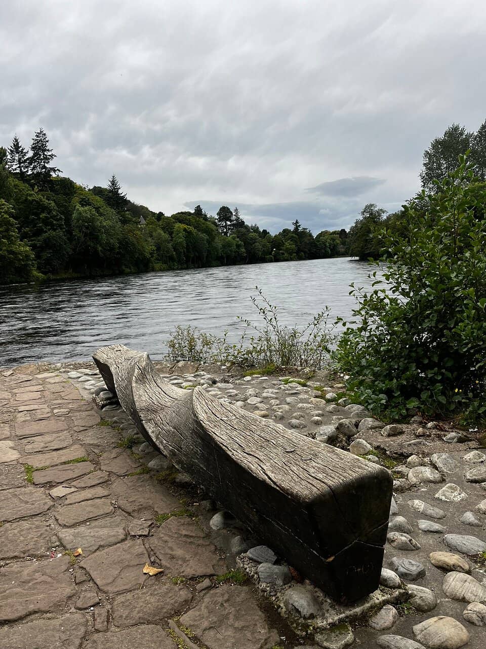 The Suspension Bridges