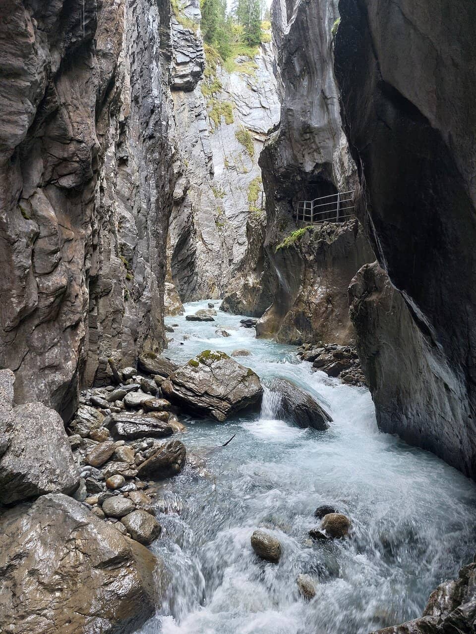 Vertical photo