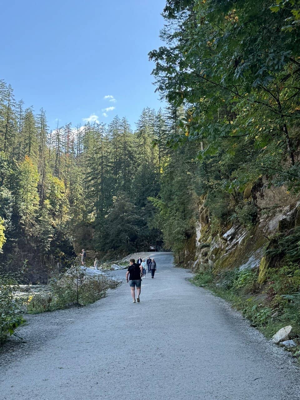 Canyon Views & Bridges
