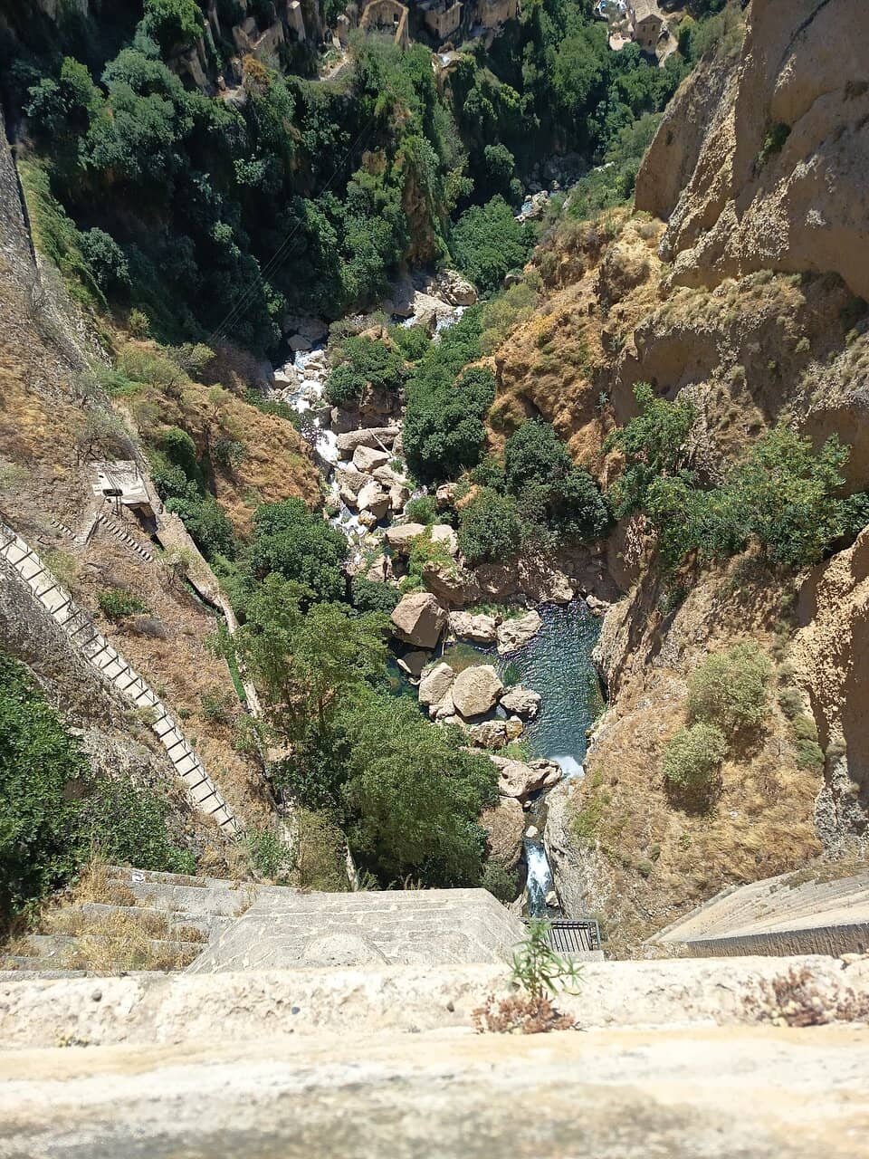Vertical photo