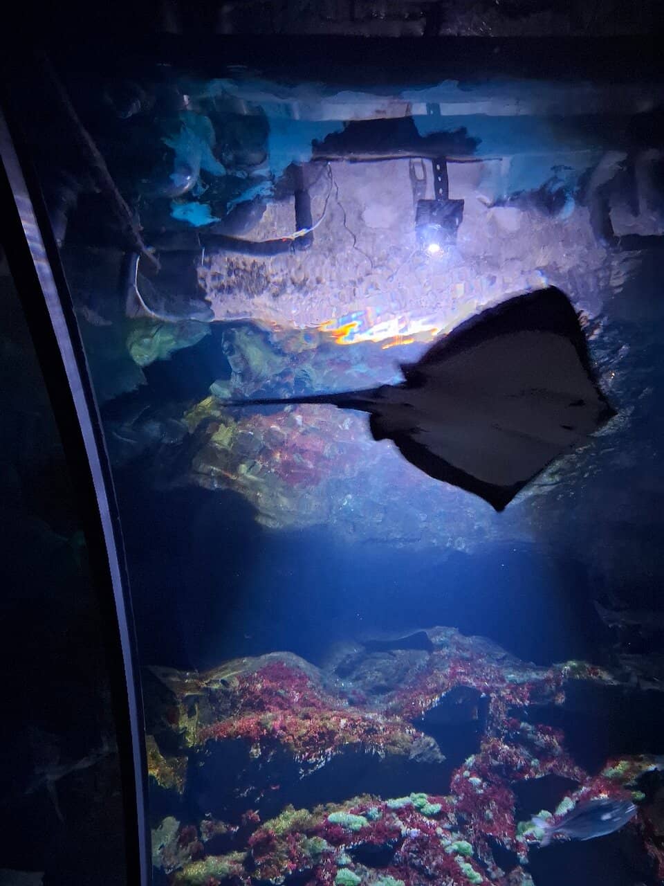 Educational Exhibits