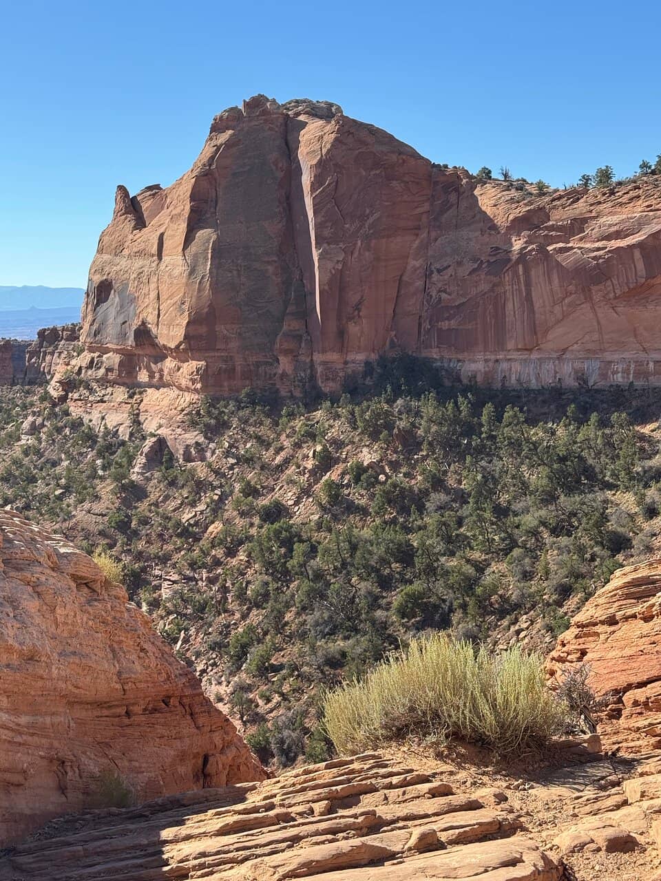 Druid Arch