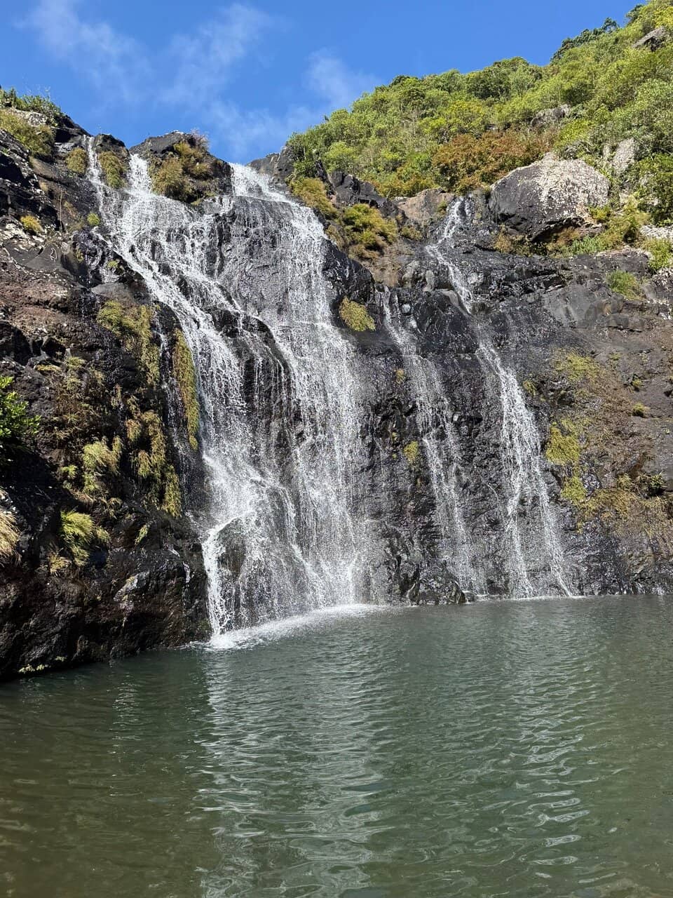 Machabees Forest Loop