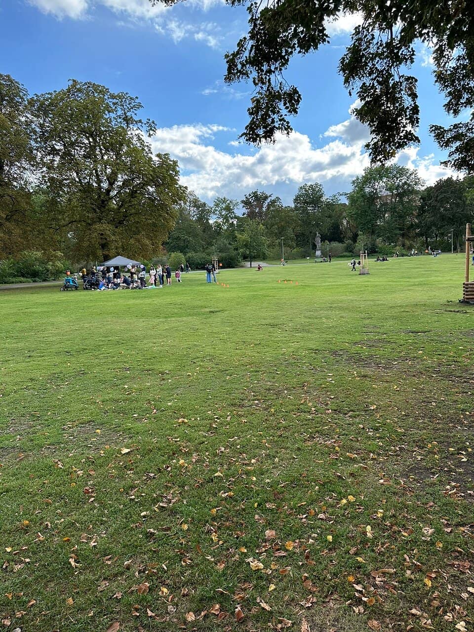 Spicy Som Tum (Papaya Salad)