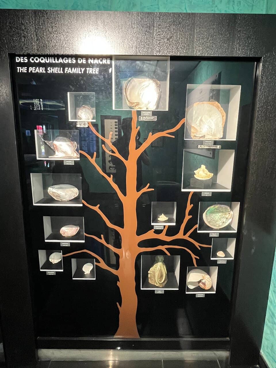 Exquisite Pearl Jewelry