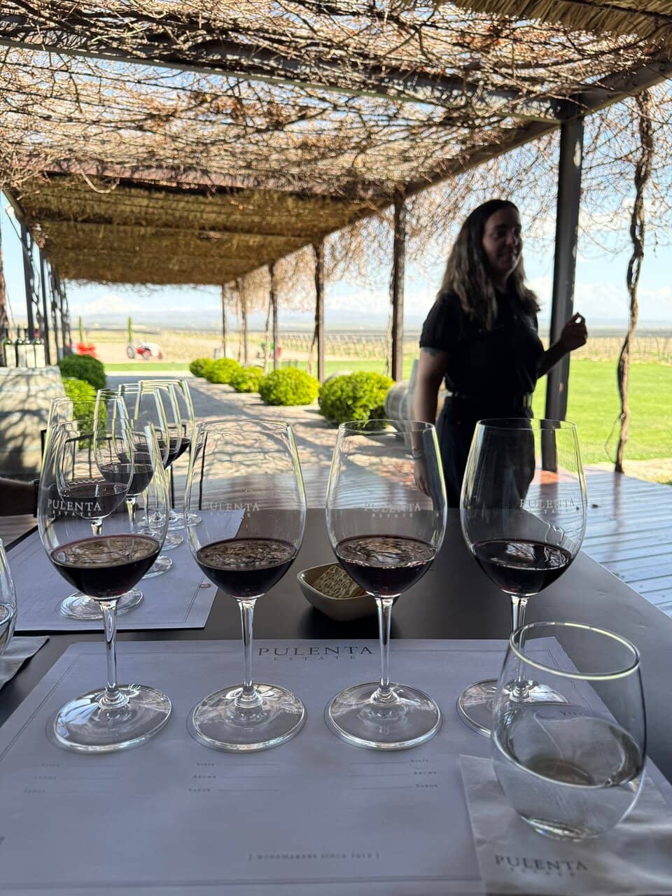 Andean Views & Vineyard Scenery