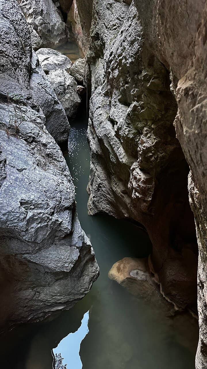 Vertical photo