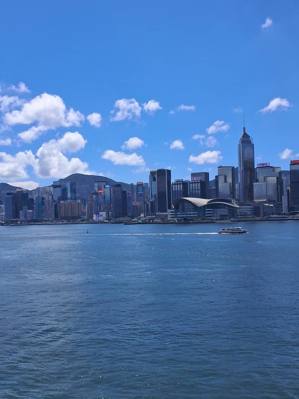 City Lights at Night