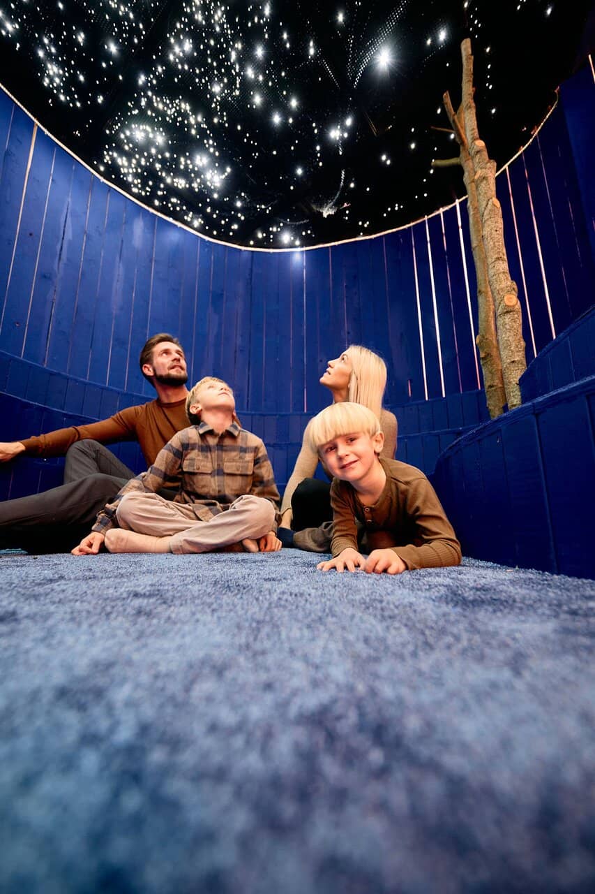 Photography & Film Displays