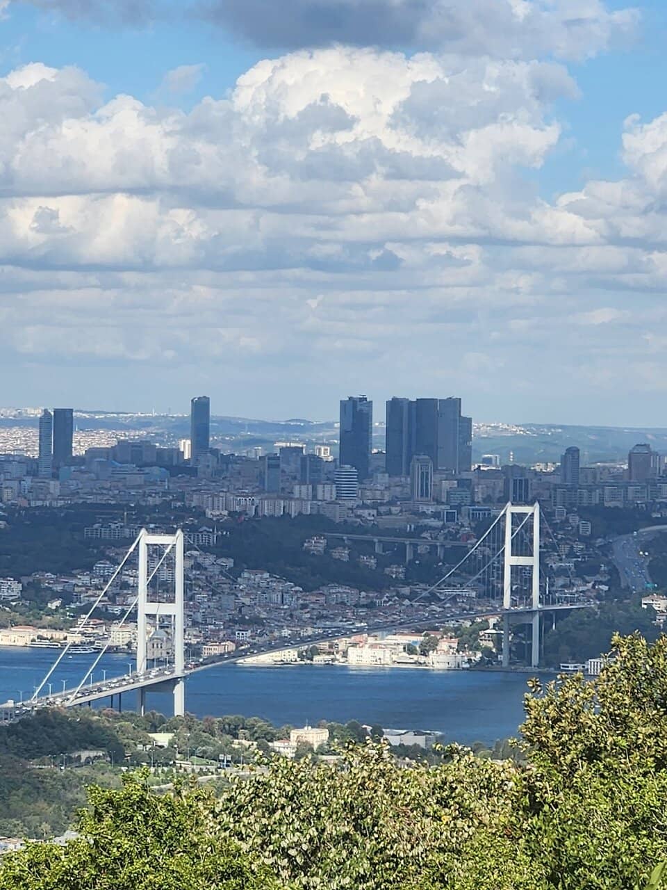 Vertical photo