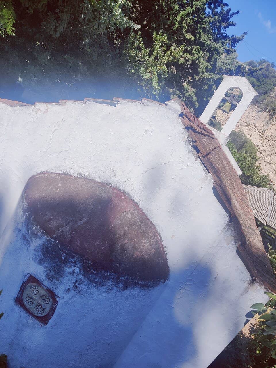 Lush Greenery & Flora