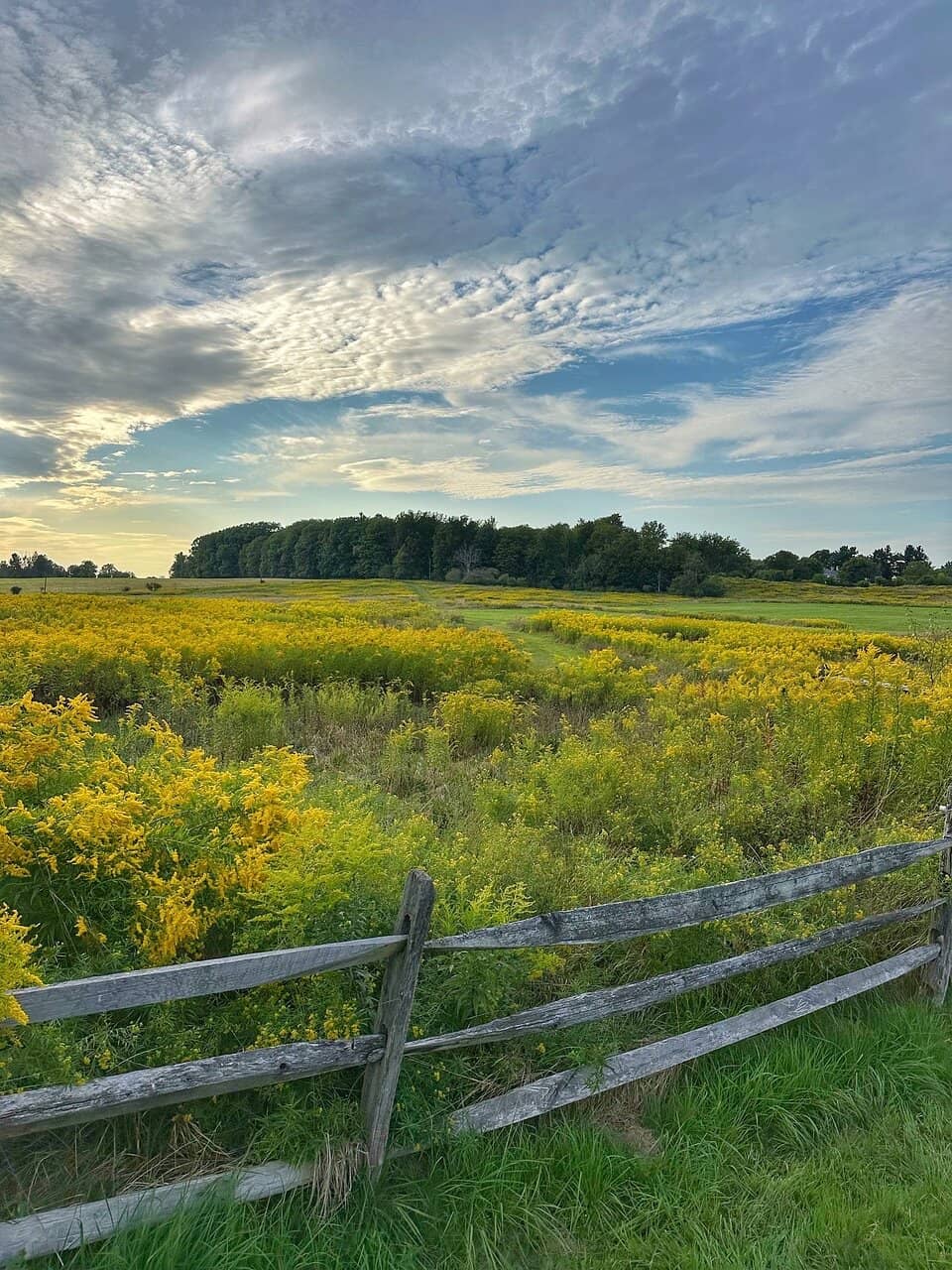 Borderland Music Festival