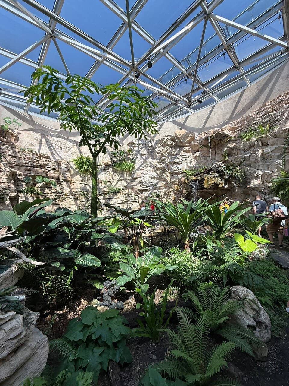 Kumamoto Japanese Garden