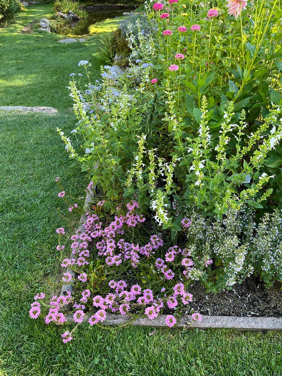 Wooded Areas & Boardwalk