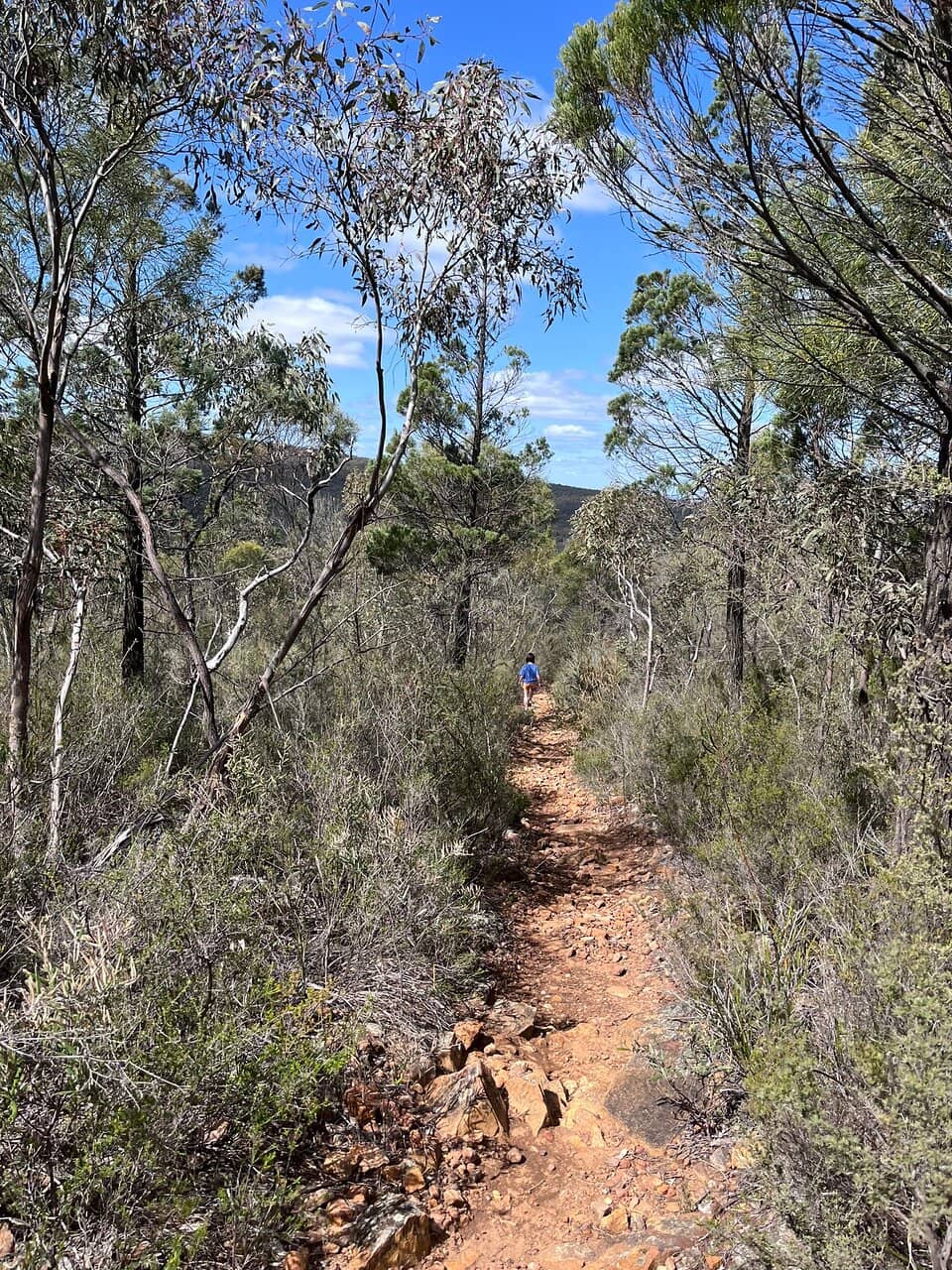 Remote Trail Running