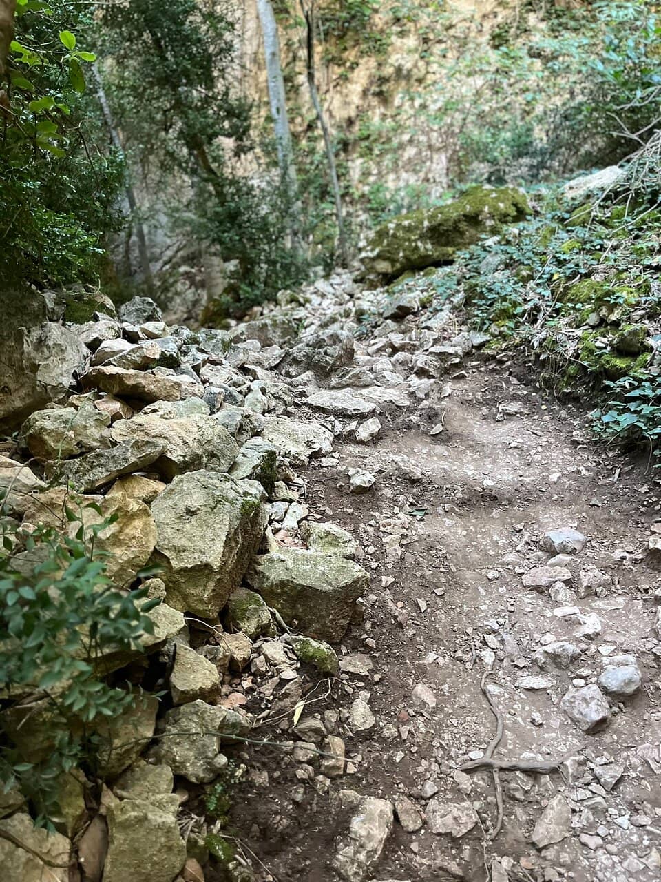 Vertical photo