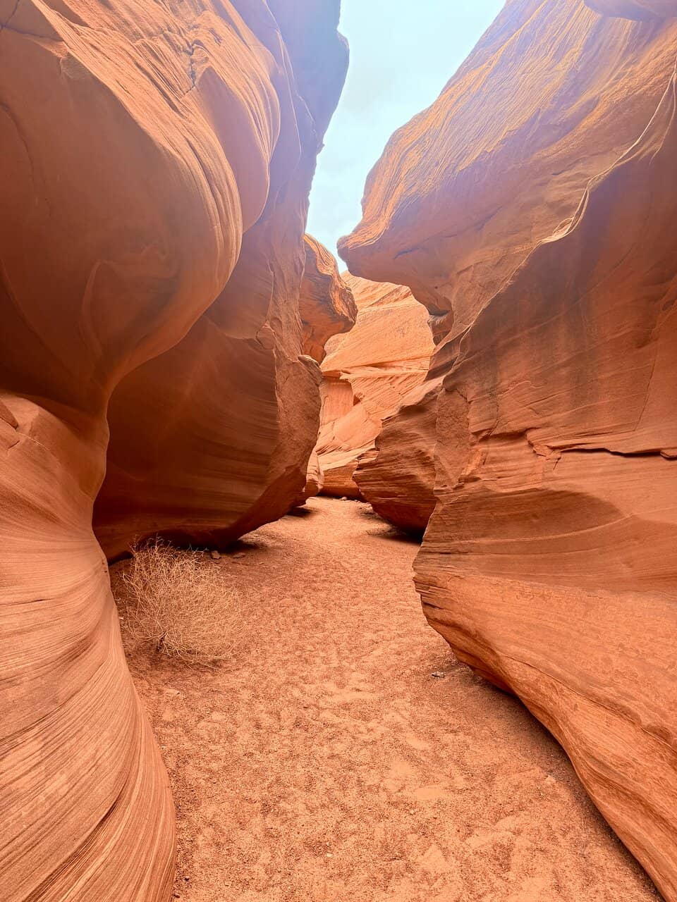 Vertical photo