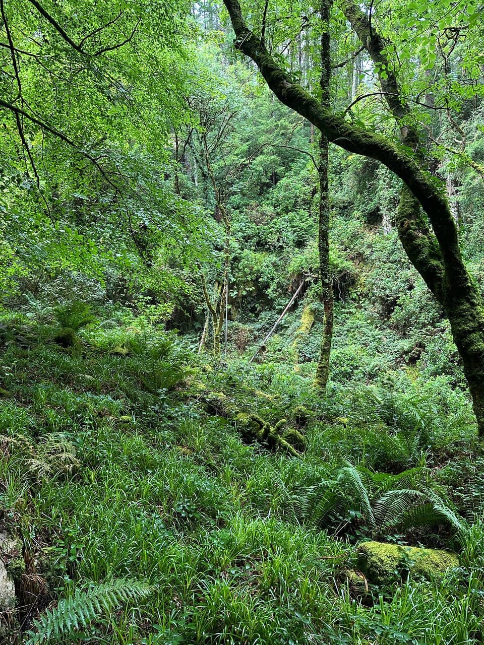 Vertical photo