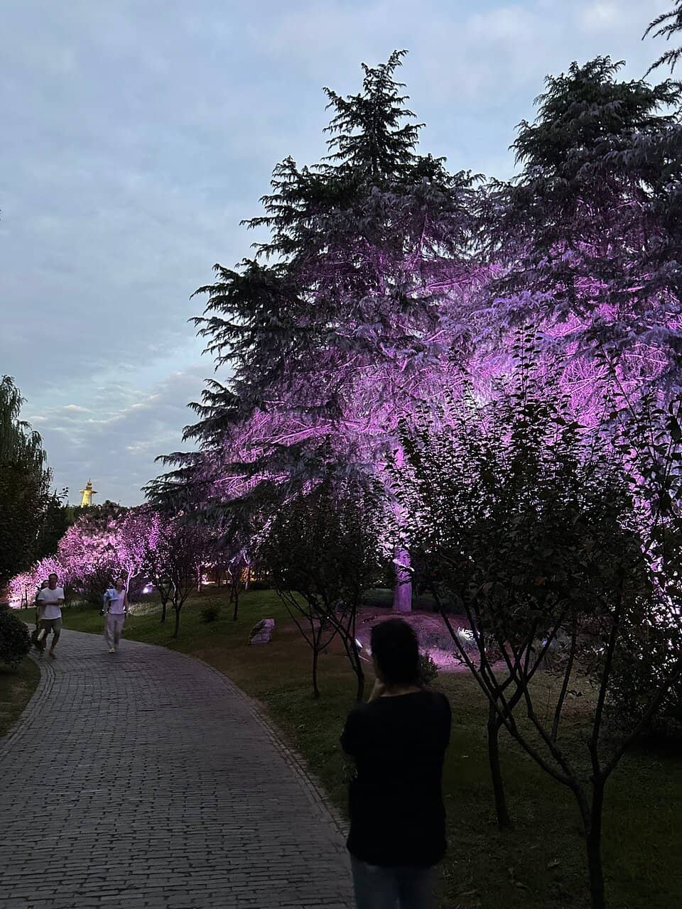 Traditional Architecture