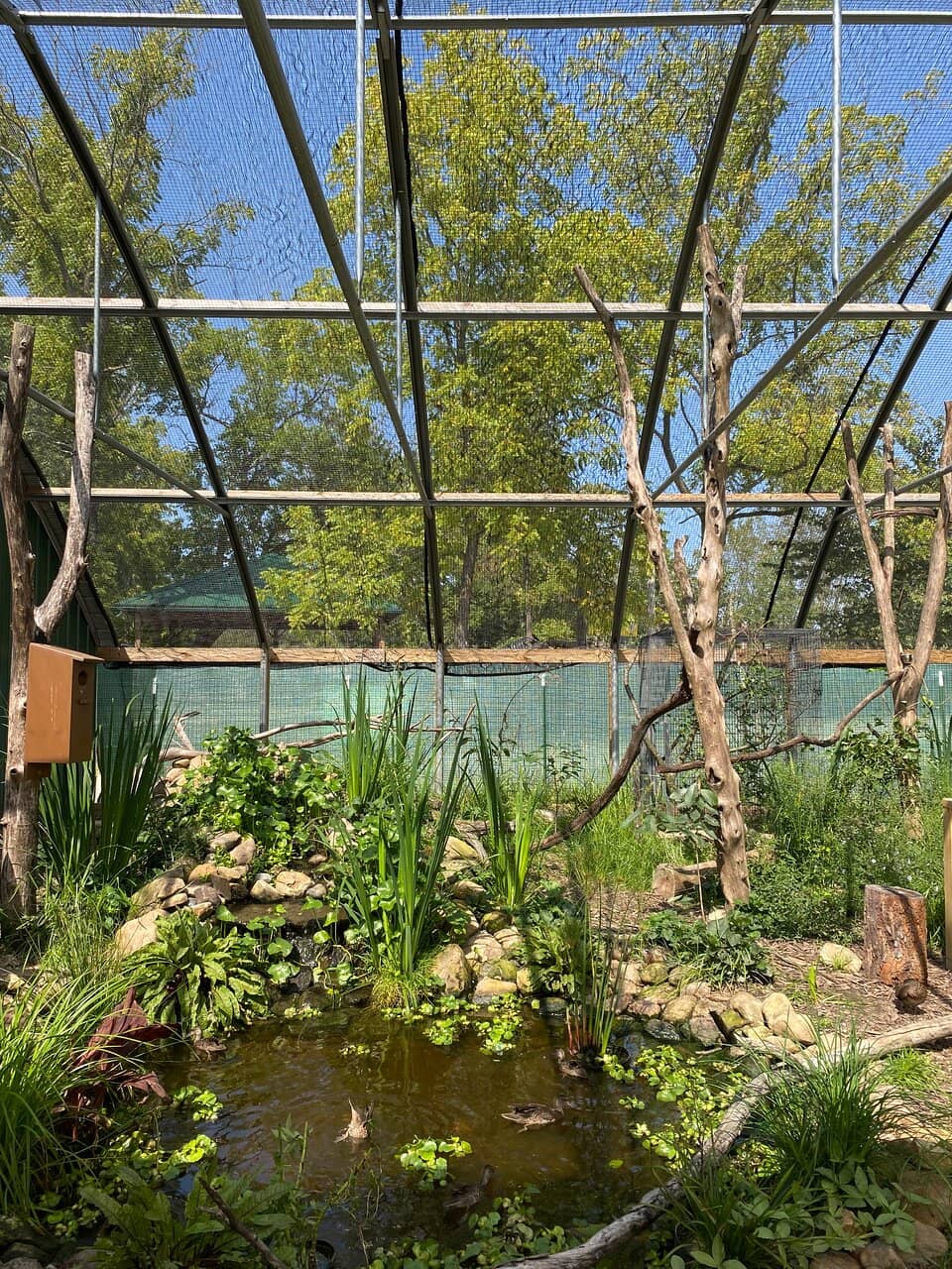 Nature Playce Playground