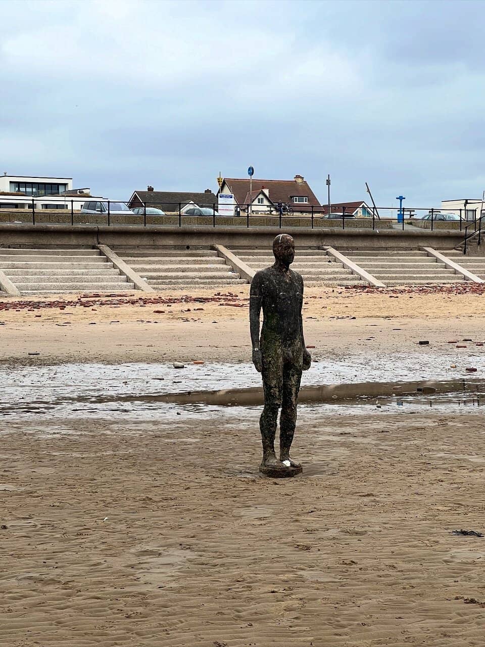 Low Tide Exploration