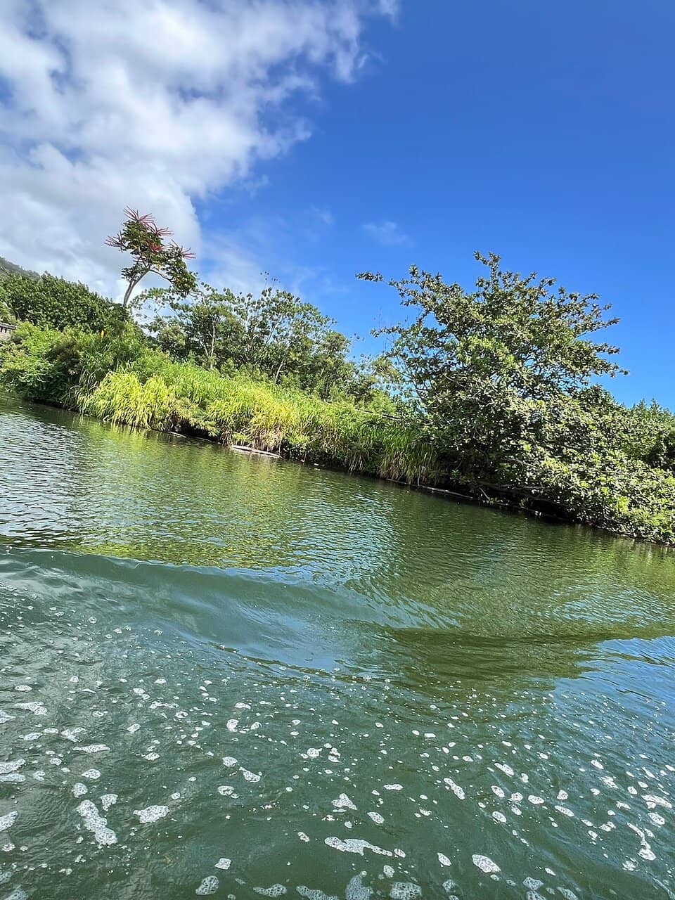 Hawaiian Music and Hula