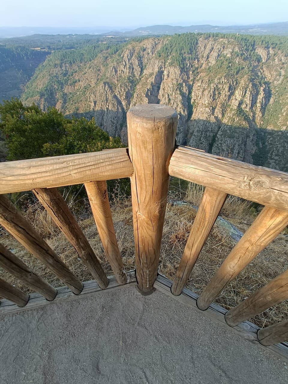 Vertical photo