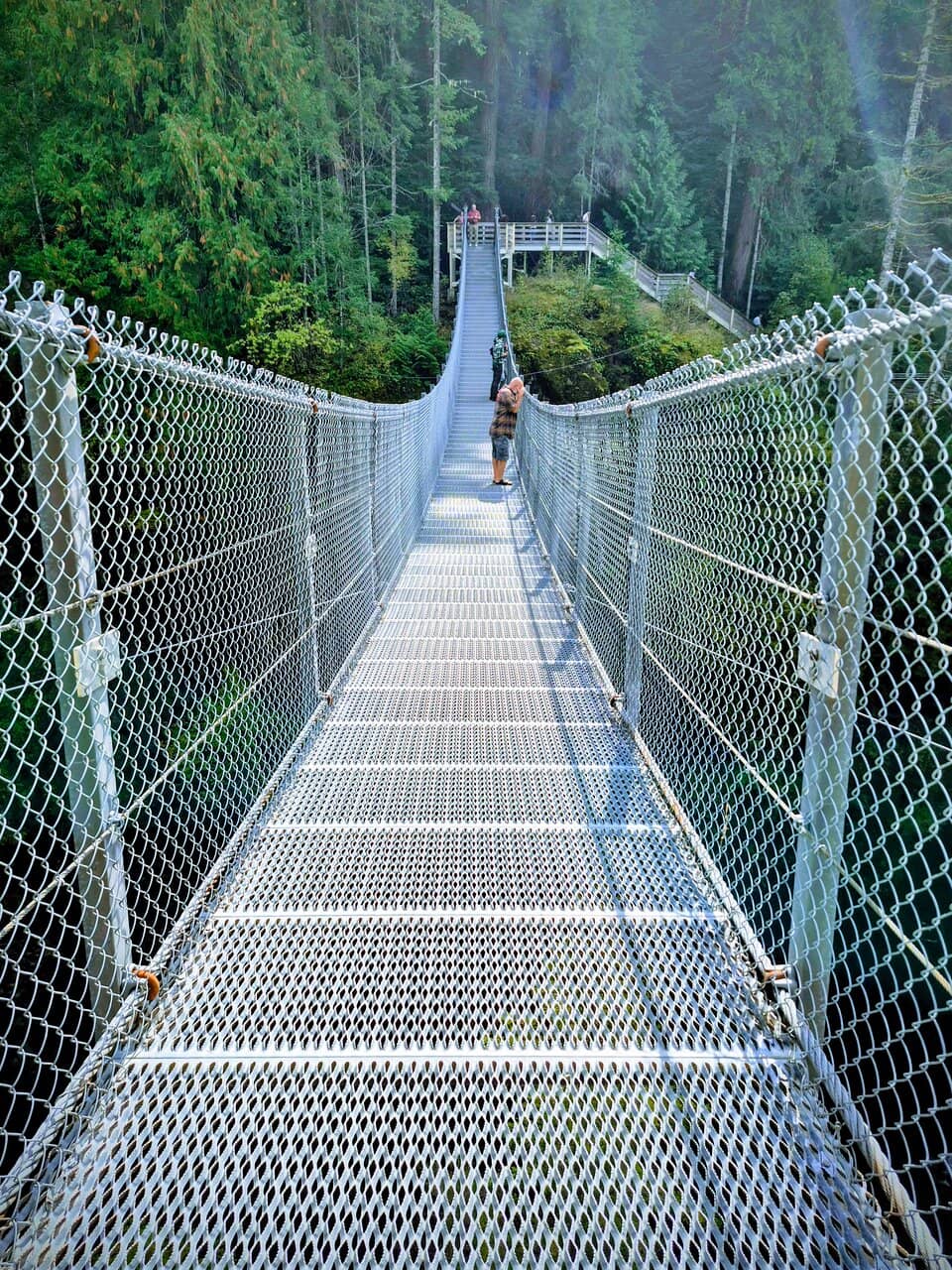 Old-Growth Forest Trails