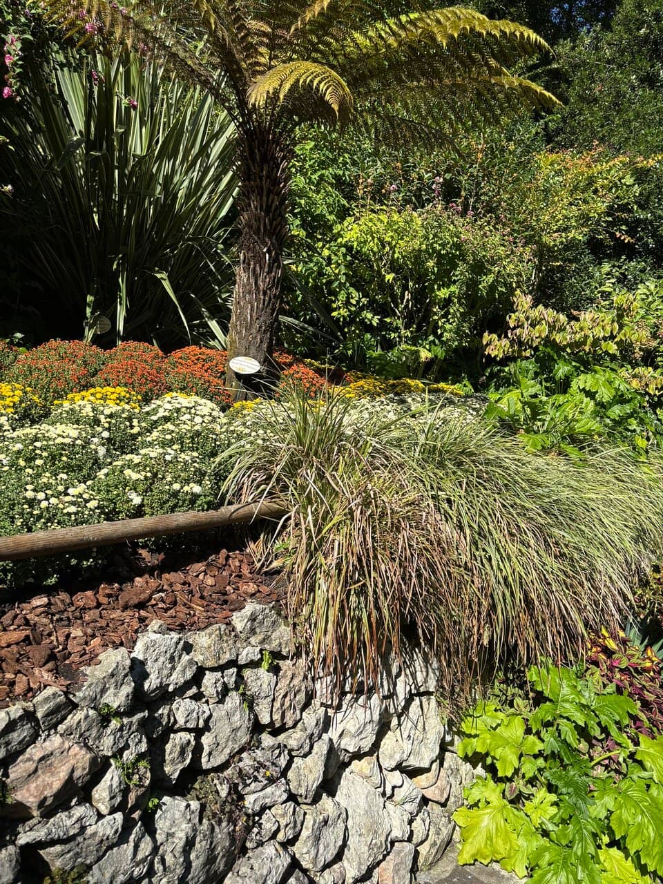 Enchanting Zen Garden