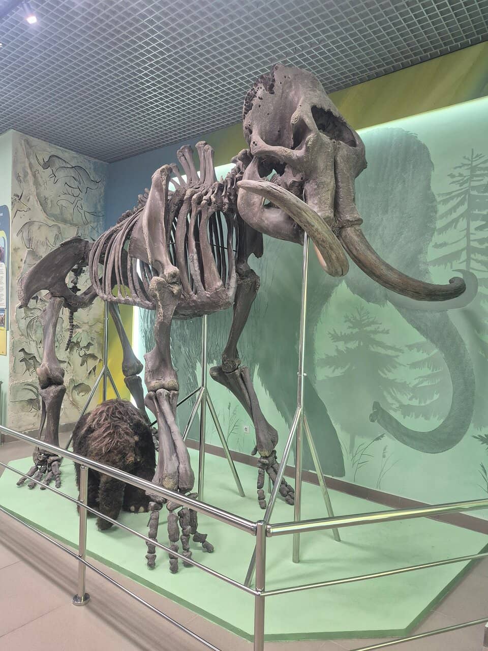 20th Century Exhibits