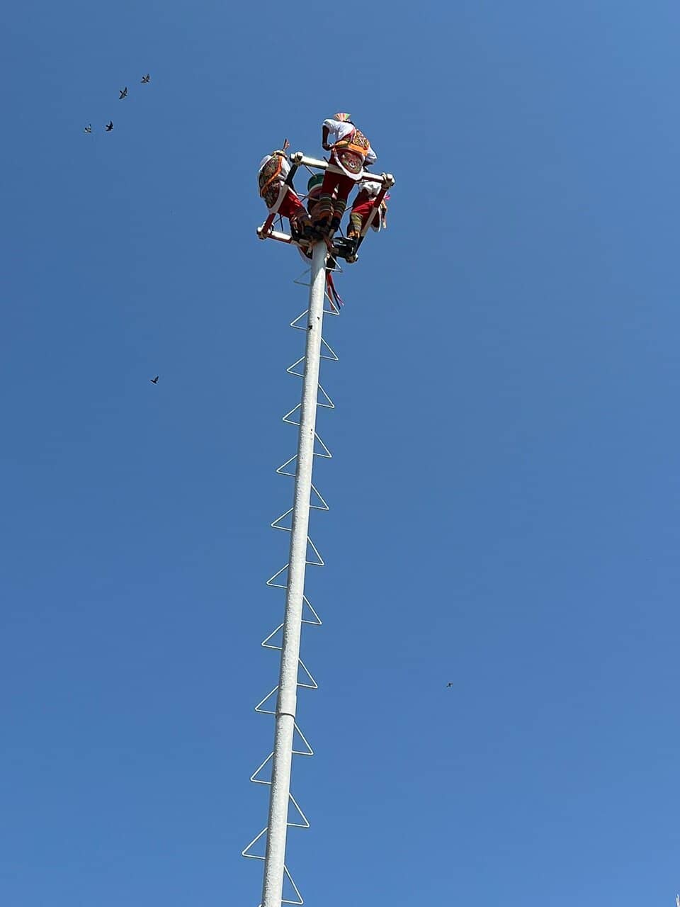 Cantaritos El Güero