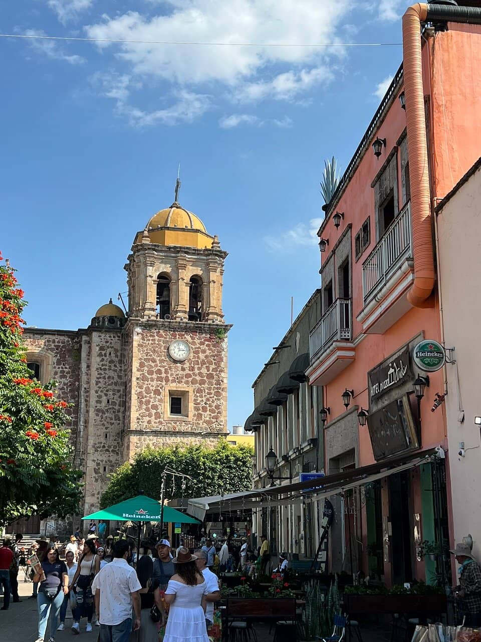 Tequila Distilleries