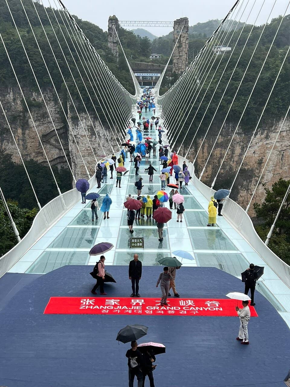 Bungee Jumping Thrills