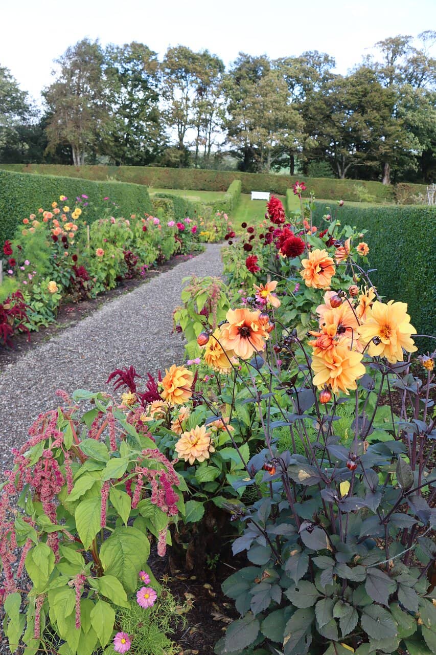 Kitchen Garden & Orchard