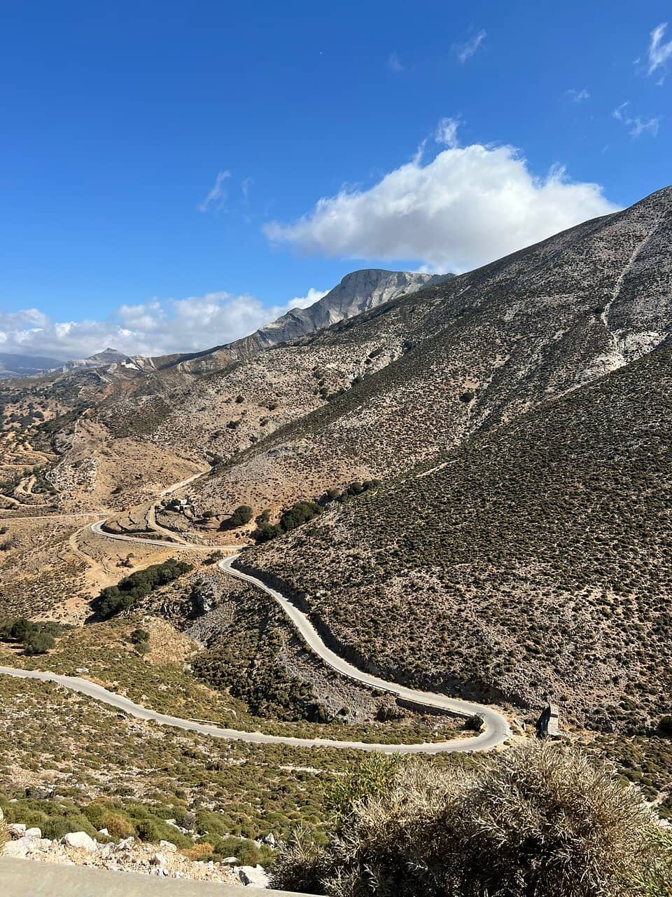 The Iconic Lobster Linguine