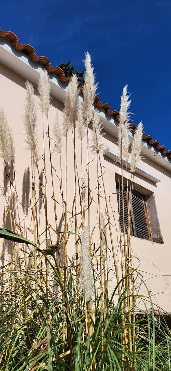 Sunrise and Sunset Magic