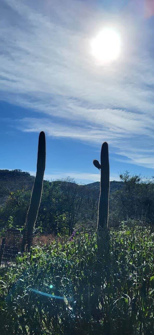 Parador La Estancita