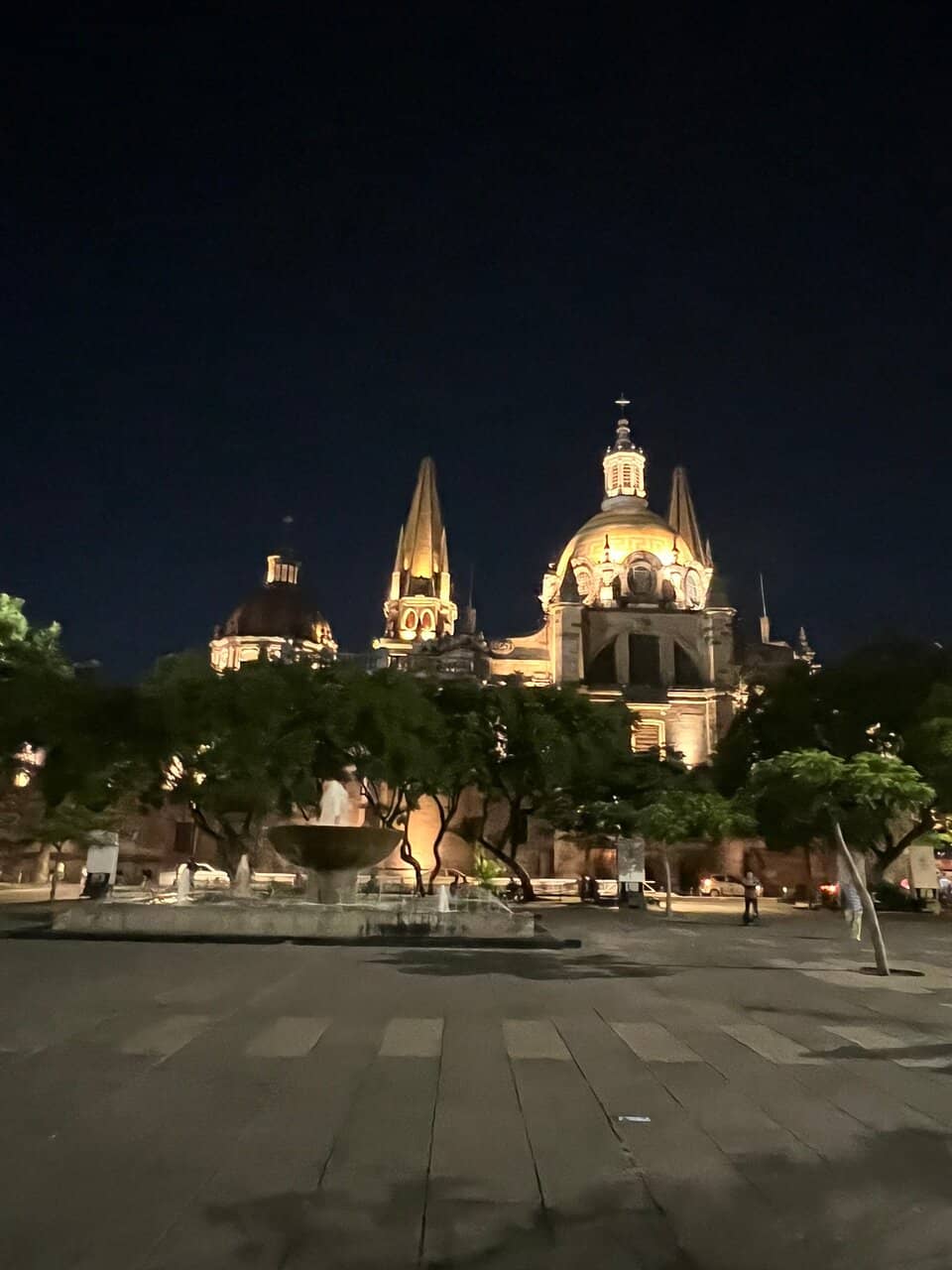 Festive Light Displays