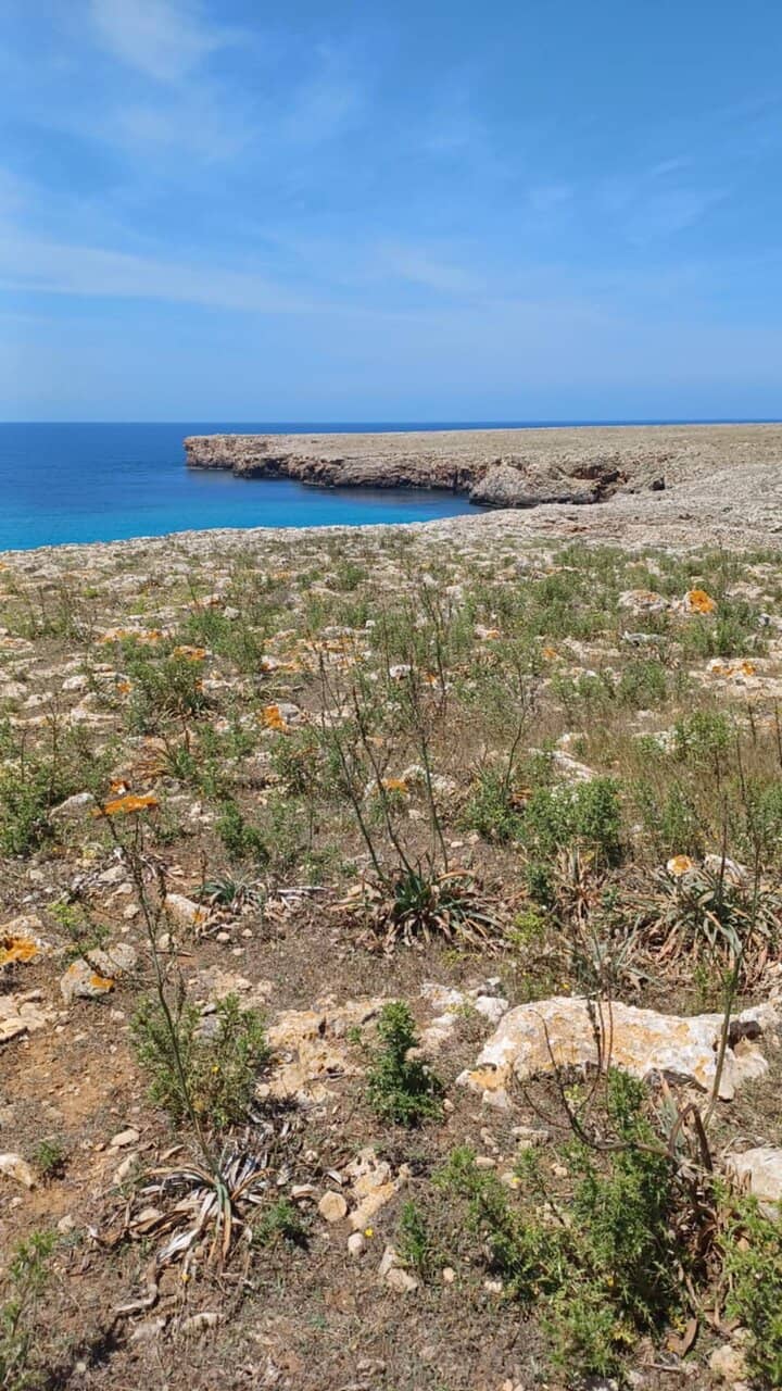 Spectacular Sunset Views