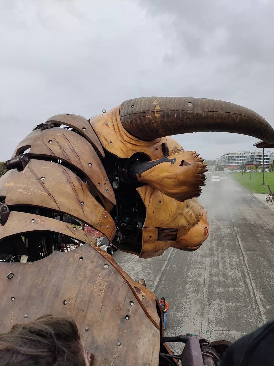 The Dragon's Fiery Spectacle