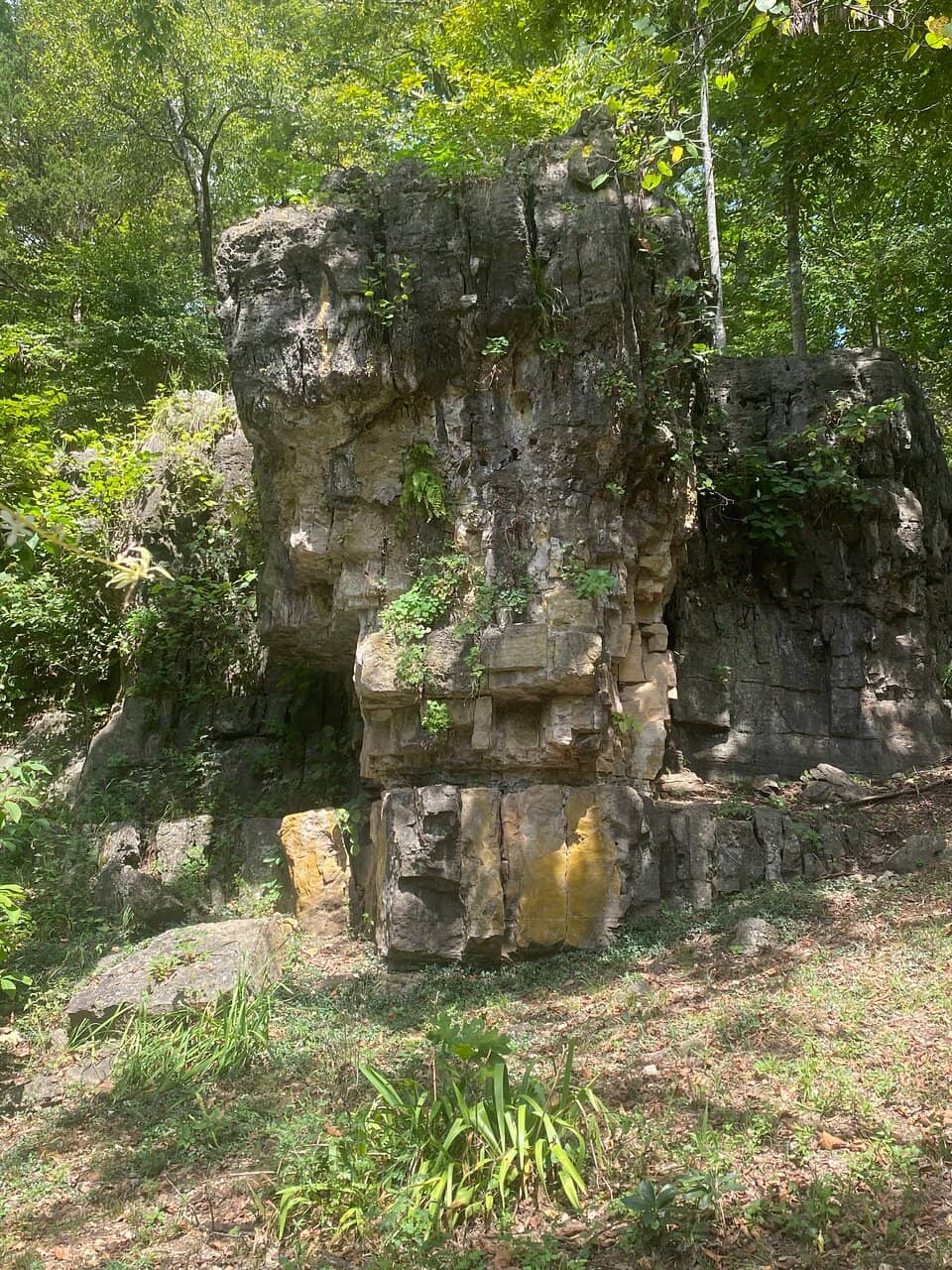 Historic Bluff Shelter