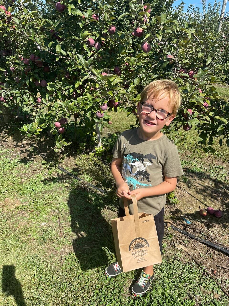 Farm Market Delights
