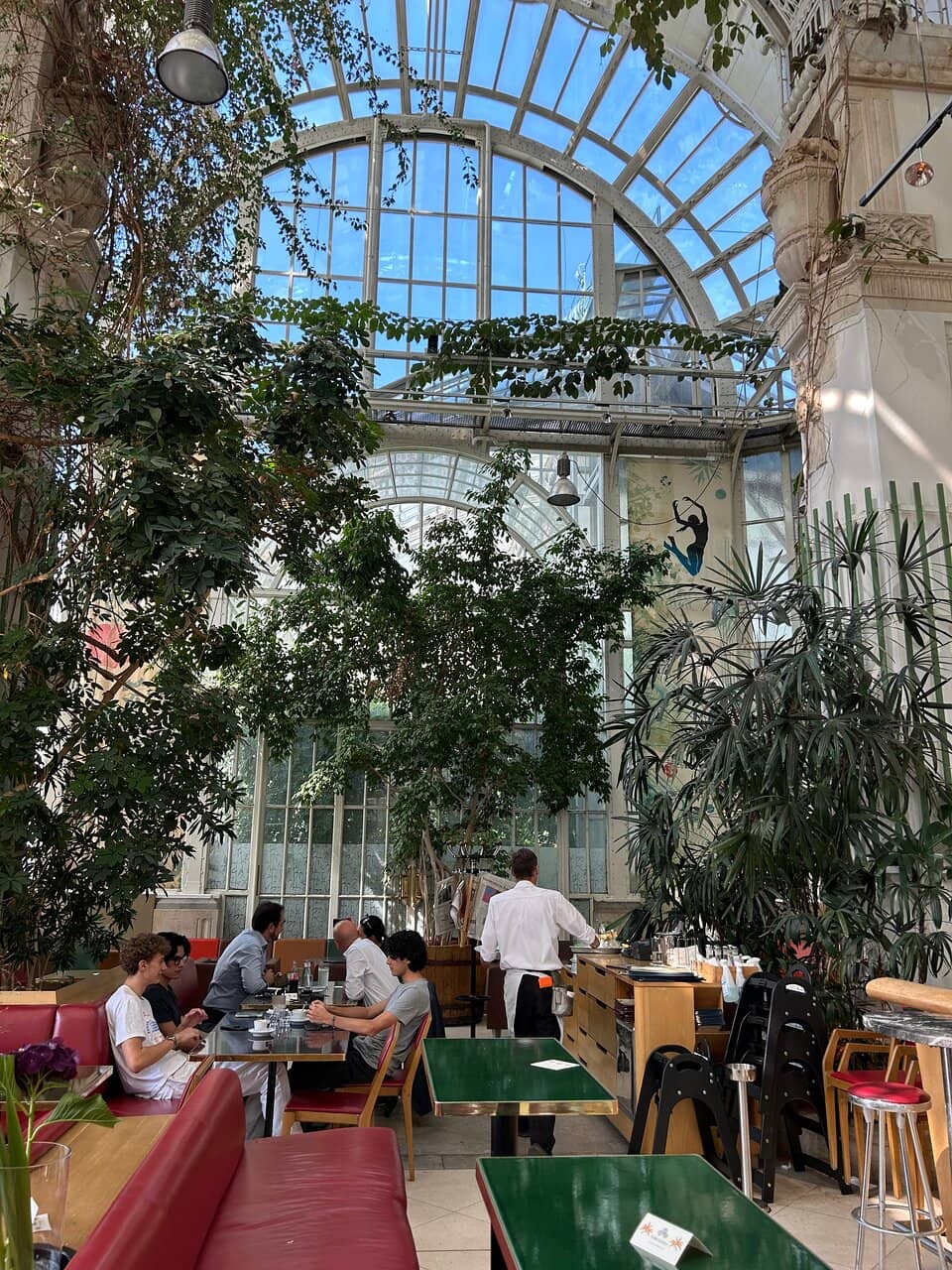 Viennese Elegance & Tropical Vibes