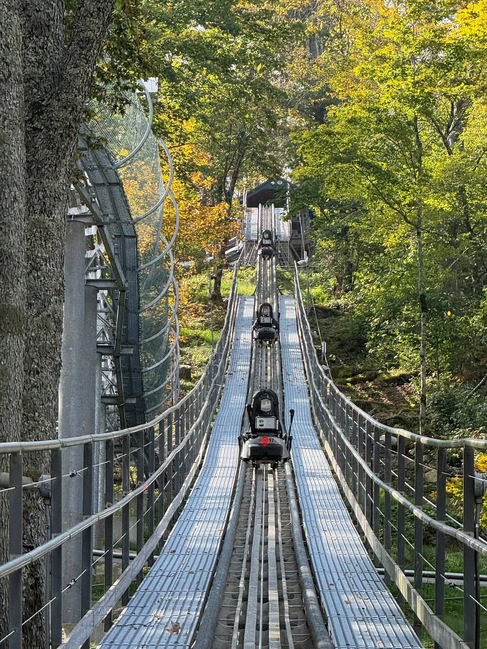 Scenic Mountain Views