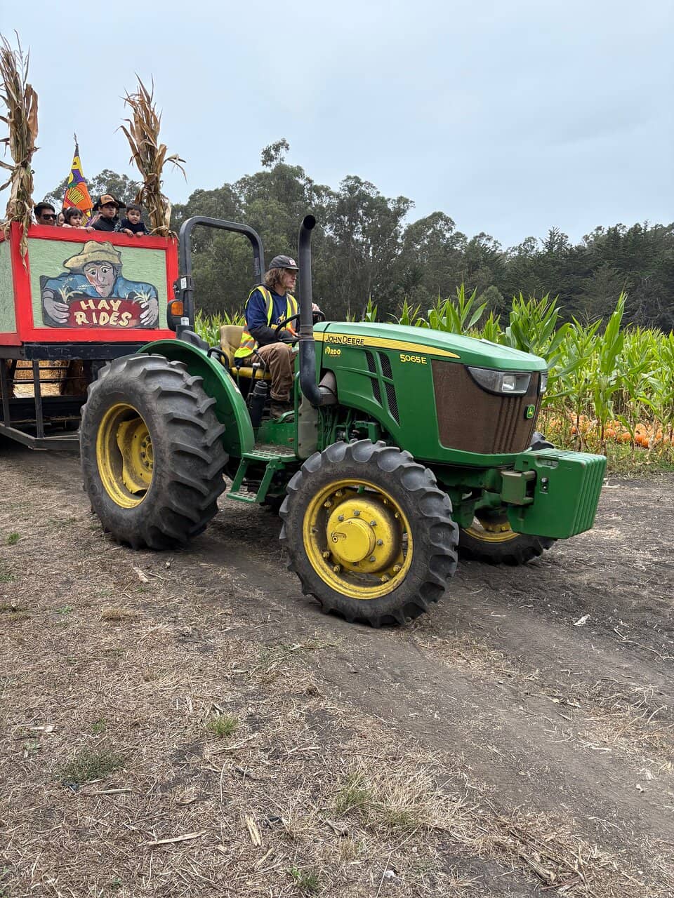 Petting Zoo & Tractor Rides