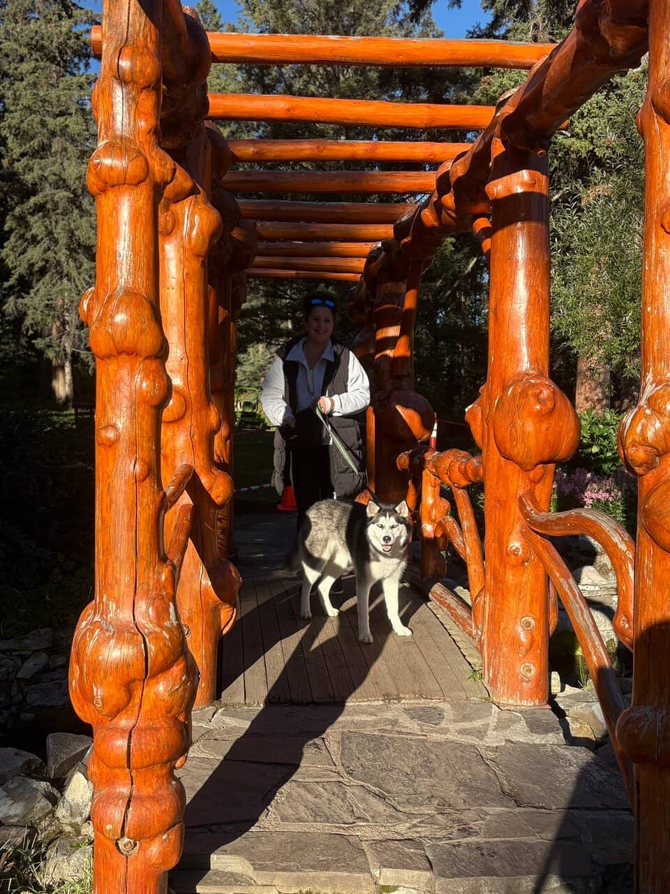Terraced Flower Beds