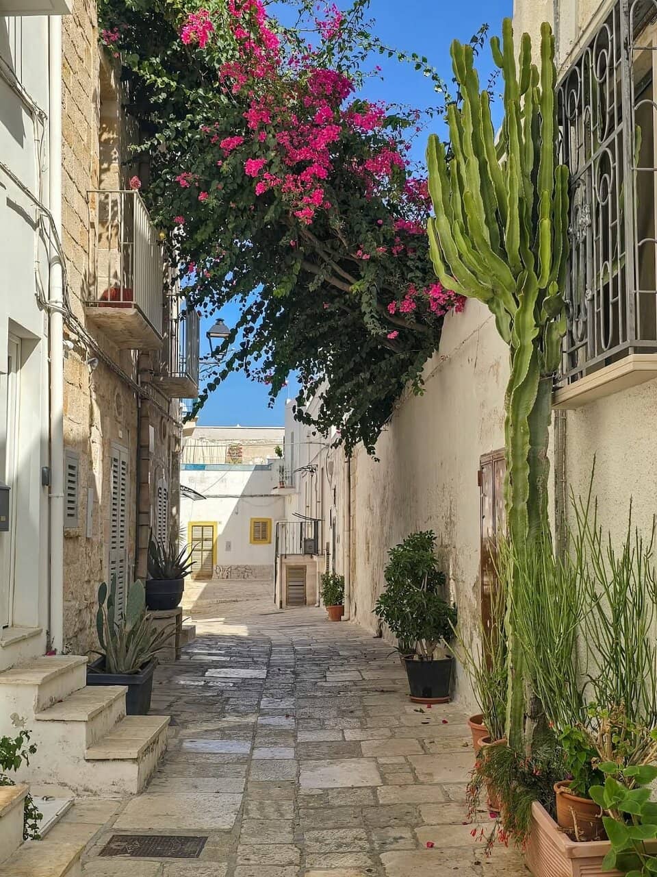 Beachside Park & Fitness Area