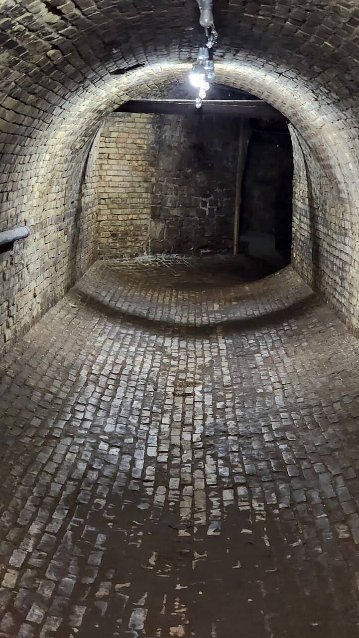 Arboretum & Hiking Trails