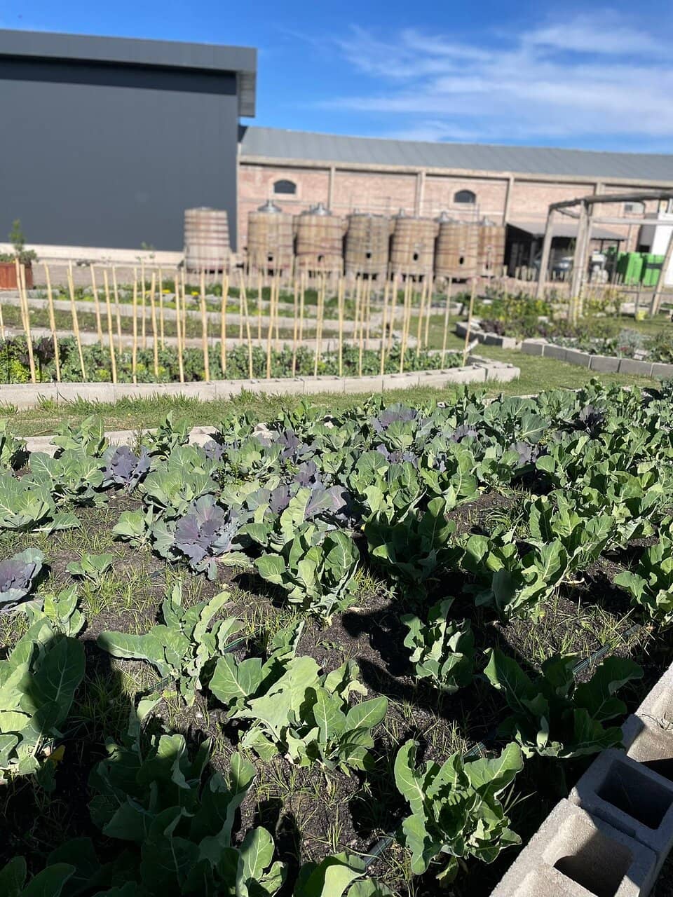 Gaia Lodge & Restaurant